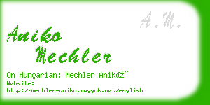 aniko mechler business card